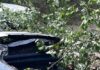Chevrolet врезался в дерево Николаевской области: водитель и пассажир в больнице, — ФОТО