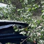 Chevrolet врезался в дерево Николаевской области: водитель и пассажир в больнице, — ФОТО