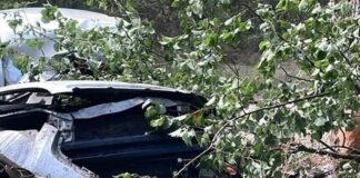 Chevrolet врезался в дерево Николаевской области: водитель и пассажир в больнице, — ФОТО