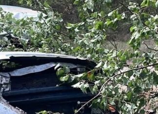 Chevrolet врезался в дерево Николаевской области: водитель и пассажир в больнице, — ФОТО