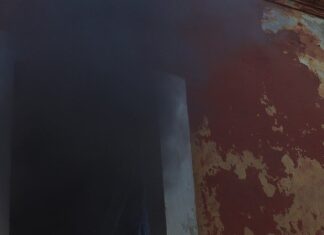 Более 5,5 гектара охватил огонь: где горело в Николаевской области, — ФОТО
