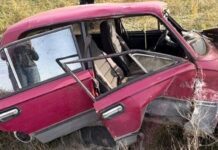 Смертельное ДТП в Николаевской области: ВАЗ перевернулся на полевой дороге, — ФОТО