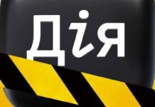 В Дии временно исчезли документы и часть услуг: украинцев предупредили, что взять с собой