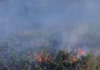 3400 гривен за огонь в поле: в Николаевской области наказали нарушителя, — ВИДЕО