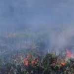 3400 гривен за огонь в поле: в Николаевской области наказали нарушителя, — ВИДЕО
