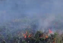 3400 гривен за огонь в поле: в Николаевской области наказали нарушителя, — ВИДЕО