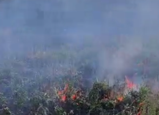 3400 гривен за огонь в поле: в Николаевской области наказали нарушителя, — ВИДЕО
