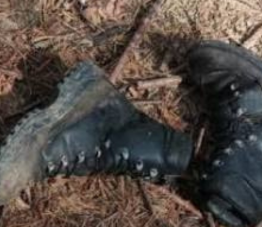 Почти две тысячи окупантов ликвидировали ВСУ за минувшие сутки