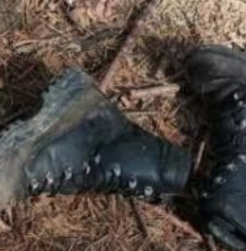 Более 2 тысяч окупантов и 6 самолетов в сутки: Генштаб обновил потери врага