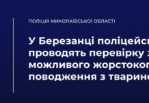 Содержание собаки на цепи в грязи: полиция Николаевщины расследует факт жестокого обращения с животным