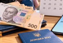 Новые правила для ВПЛ: нужно ли переоформлять документы и что изменится
