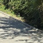 Один из уголков старого Николаева обновляют: где проделали работы, — ФОТО