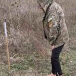 В лесах и полях Николаевщины распространено более 200 тысяч вакцин для диких животных, — ФОТО
