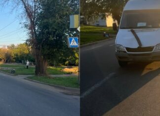 Переходила дорогу и попала под микроавтобус: в Николаеве расследуют ДТП, — ФОТО