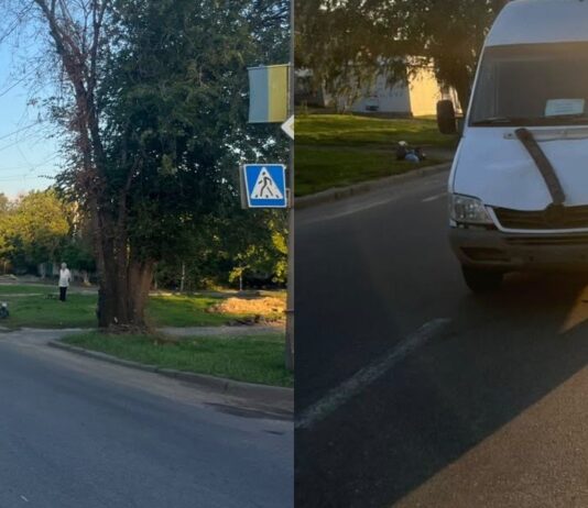 Переходила дорогу и попала под микроавтобус: в Николаеве расследуют ДТП, — ФОТО