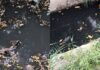 В Николаеве канализационные стоки попадают в Бугский лиман, — ФОТО