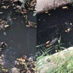 В Николаеве канализационные стоки попадают в Бугский лиман, — ФОТО