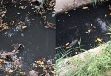 В Николаеве канализационные стоки попадают в Бугский лиман, — ФОТО
