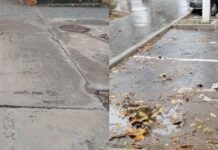 В Николаевской области проверили парковочные места для людей с инвалидностью, — ФОТО
