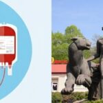 Помоги раненым и посети зоопарк бесплатно: николаевцев приглашают стать донорами