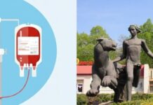 Помоги раненым и посети зоопарк бесплатно: николаевцев приглашают стать донорами