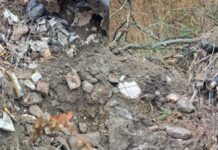 Шприцы и медицинские отходы с кровью закапывали на территории больницы в Николаеве: что обнаружили правоохранители, — ФОТО
