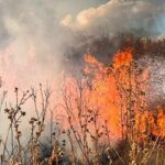 Российские беспилотники повлекли за собой пожары в трех районах Николаевщины