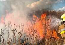 Российские беспилотники повлекли за собой пожары в трех районах Николаевщины