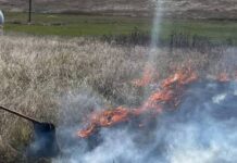 Вражеские атаки повлекли за собой пожары на Николаевщине, — ФОТО