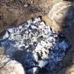 До 1530 гривен за нарушение: в Николаеве проверили отдыхающих в лесу