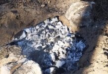 До 1530 гривен за нарушение: в Николаеве проверили отдыхающих в лесу