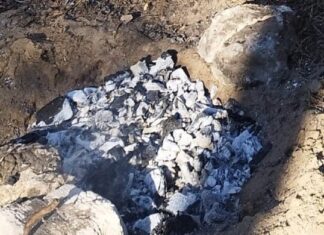 До 1530 гривен за нарушение: в Николаеве проверили отдыхающих в лесу