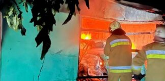 Огонь охватил более 1,7 гектара: где в Николаевской области бушевали пожары, — ФОТО