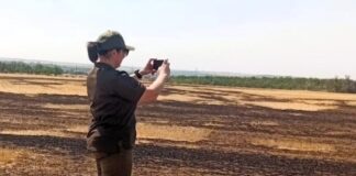 46 тысяч тонн выбросов в атмосферу: последствия сентябрьских пожаров в Николаевской области