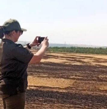 46 тысяч тонн выбросов в атмосферу: последствия сентябрьских пожаров в Николаевской области