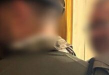 В Николаеве разоблачили администратора пророссийского Telegram-канала с 13 тысячами подписчиков